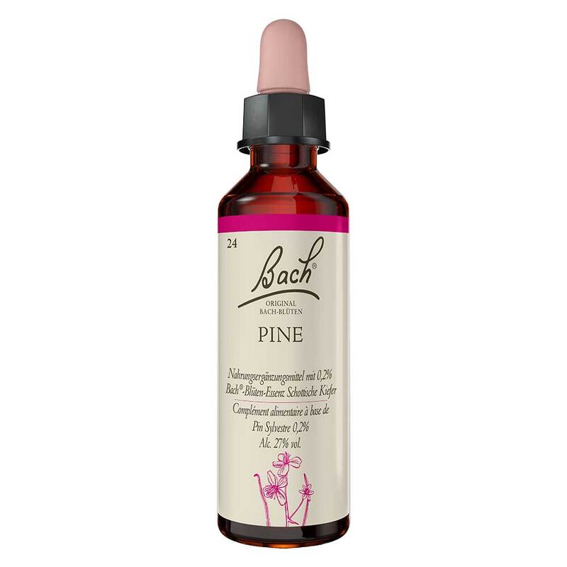 Original Bach №24 Бор (Pine), 20 ml