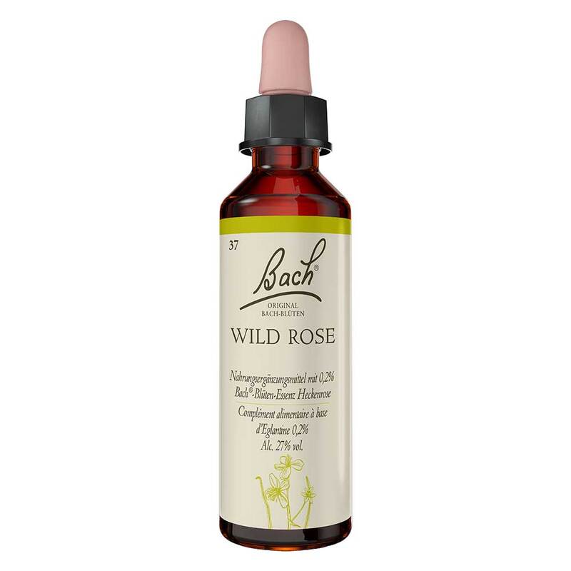 Original Bach №37 Дива роза (Wild Rose), 20 ml
