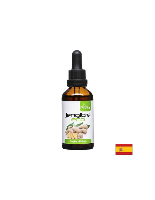 Artesania Jengibre Eco — тинктура от джинджифил, 50 ml